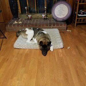 Meet your Posher, Terrence